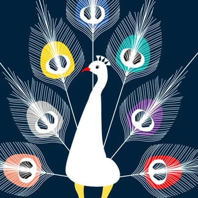 Profilbild von David Schnaegelberger // Die Happy Few